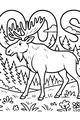 Free Moose Coloring Page - Strolling Through Pine Forest (Printable PDF)