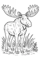 Free Moose Coloring Page - Majestic Antlers in Tall Grass (Printable PDF)