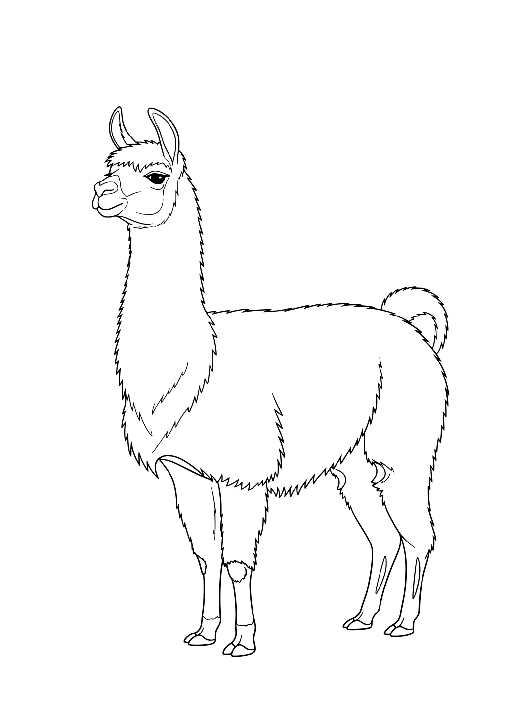 Outlined drawing of a fluffy llama with long neck, big ears, and a curly tail, standing upright and facing to the left.
