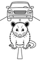 Free Opossum Coloring Page - Fluffy Opossum on Road With Car (Printable PDF)