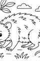 Free Opossum Coloring Page - Fuzzy Woodland Walk (Printable PDF)