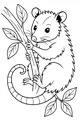 Free Opossum Coloring Page - Cute Opossum Clinging to Branch (Printable PDF)
