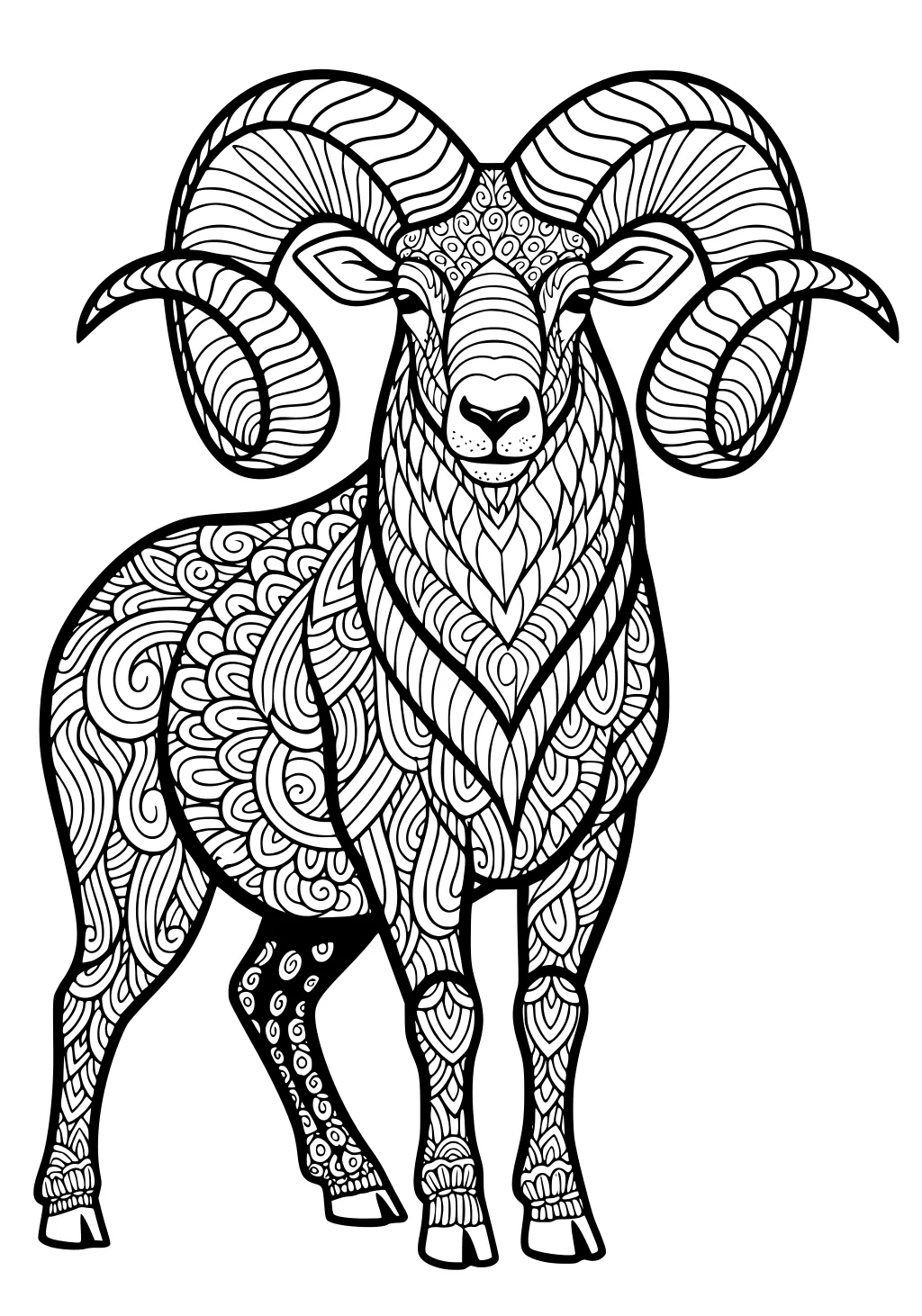 Sheep with spiral horns and detailed patterned wool standing and facing forward in black and white line art.