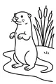 Free Otter Coloring Page - Riverbank Watch by the Cattails (Printable PDF)