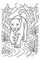 Free Panther Coloring Page - Walking Along Forest Stream (Printable PDF)
