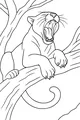 Free Panther Coloring Page - Yawning On a Jungle Tree Branch (Printable PDF)