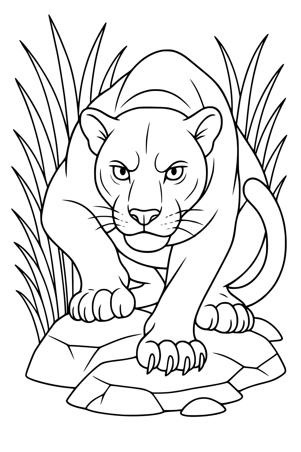 Panther crouching on rocks with tall grass behind and around it, tail curled and paws forward.