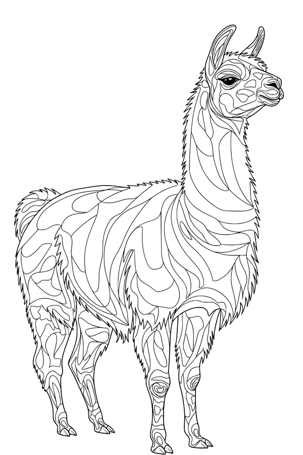 Free Llama Coloring Page - Swirly Shaggy Fur Patterns (Printable PDF)