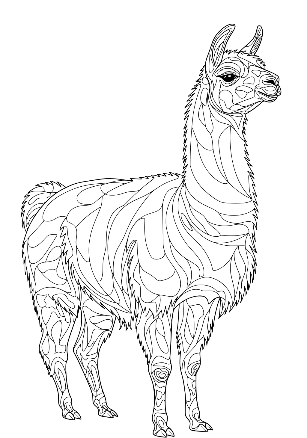 Outline drawing of a llama with swirling segmented patterns on its fur, standing upright and looking ahead.