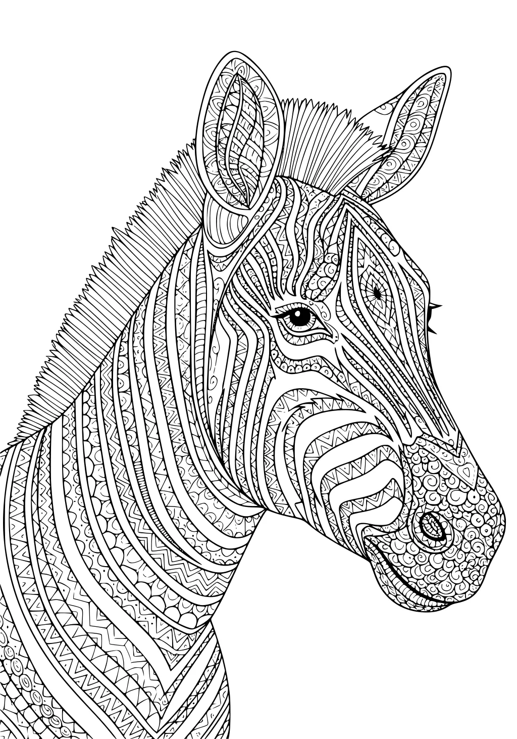 Zebra head profile with patterned stripes, perked ears, short mane, and swirls, zigzags, hearts, and dots across the face.