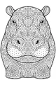 Free Hippopotamus Coloring Page - Patterned Floral Hippo Face (Printable PDF)