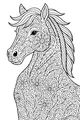 Free Horse Coloring Page - Flowery Patterned Mane in Meadow (Printable PDF)
