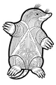 Free Mole Coloring Page - Patterned Fur Tunnel Digger (Printable PDF)