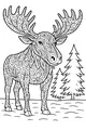 Free Moose Coloring Page - Patterned Antlers by the Pines (Printable PDF)