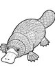 Free Platypus Coloring Page - Feathered Swimmer with Patterns (Printable PDF)