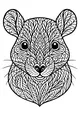 Free Rat Coloring Page - Intricate Whiskered Face With Leafy Patterns (Printable PDF)