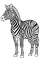 Free Zebra Coloring Page - Tribal Safari Stripes Scene (Printable PDF)
