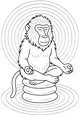 Free Baboon Coloring Page - Meditating Baboon on Stacked Rocks (Printable PDF)
