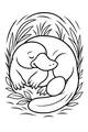 Free Platypus Coloring Page - Sleepy Nesting Platypus (Printable PDF)