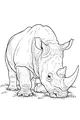 Free Rhinoceros Coloring Page - Rhino Grazing in Sunny Grass (Printable PDF)