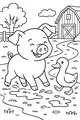 Free Pig and Duck Coloring Page - Muddy Farm Path Puddle Fun (Printable PDF)