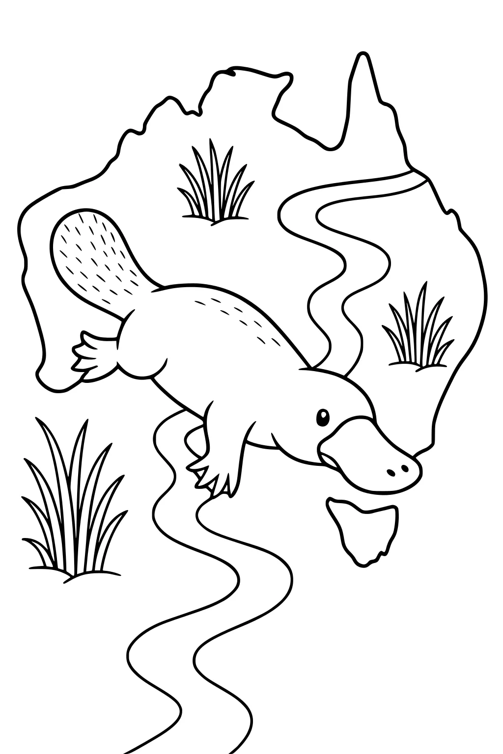 Platypus swims in river surrounded by tall grass, inside an outline map of Australia with flowing lines and simple details.