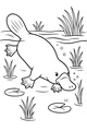 Free Platypus Coloring Page - Swimming Underwater in a Pond (Printable PDF)