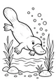 Free Platypus Coloring Page - Cute Platypus Swimming Underwater (Printable PDF)