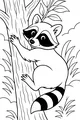 Free Raccoon Coloring Page - Cute Rocky Climbing a Forest Tree (Printable PDF)