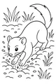 Free Weasel Coloring Page - Bright-Eyed Weasel in Spring Meadow (Printable PDF)