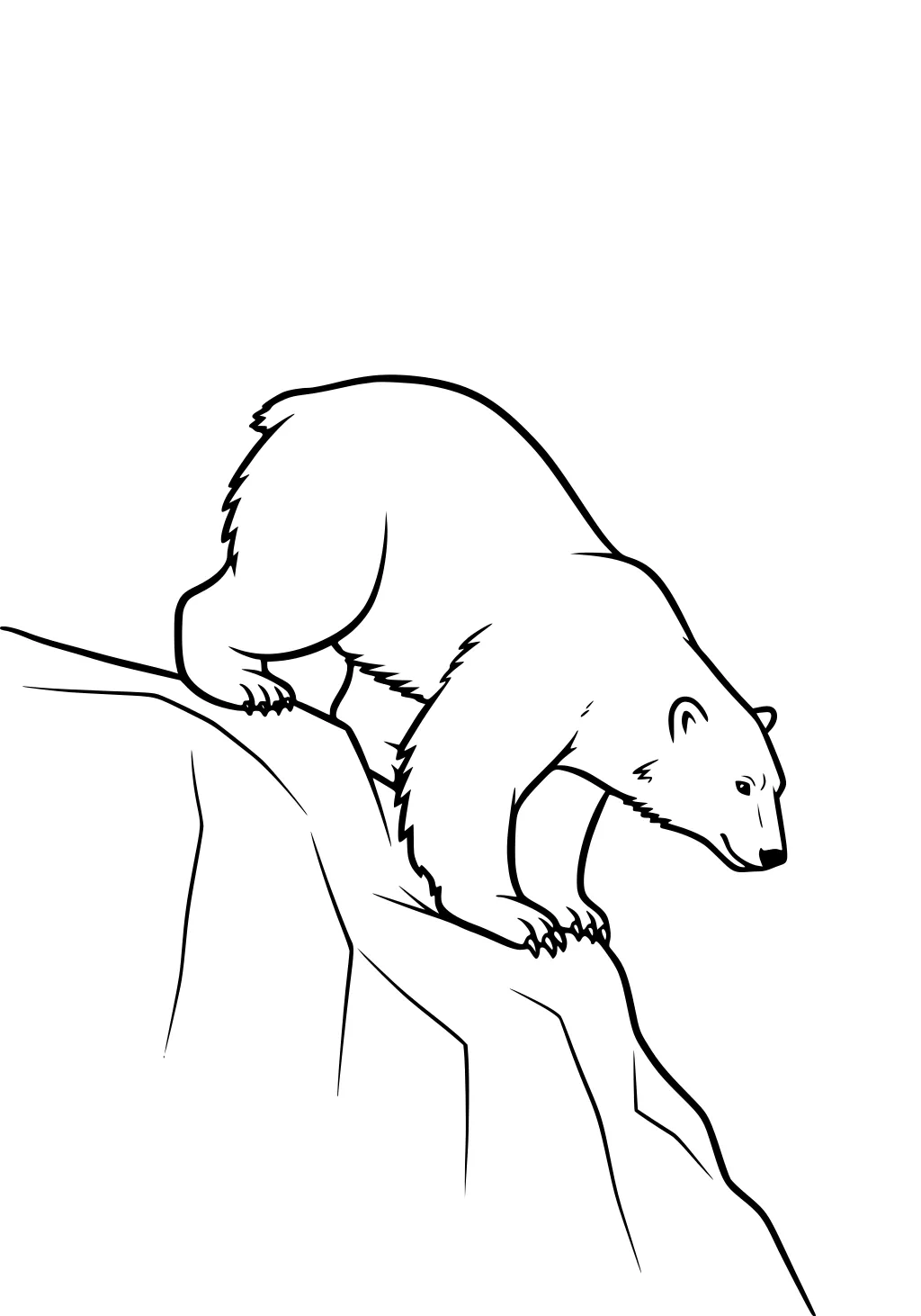 Polar bear walking down a rocky ledge with its head facing down and paw reaching forward.