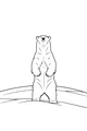 Free Polar Bear Coloring Page - Standing On Snowy Hill (Printable PDF)