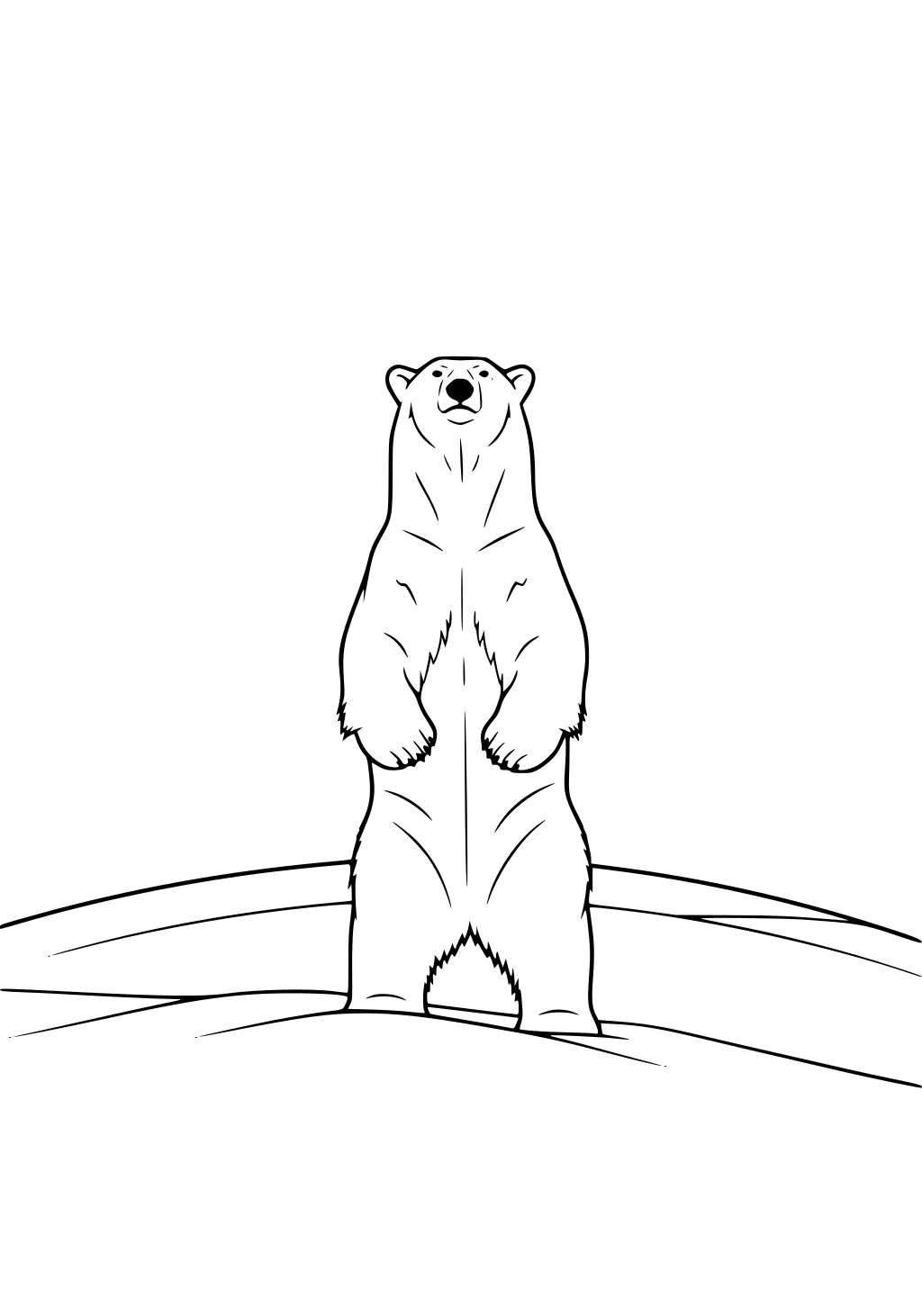 Polar bear standing upright on a snowy hill, showing front side with paws down and simple arctic landscape behind.