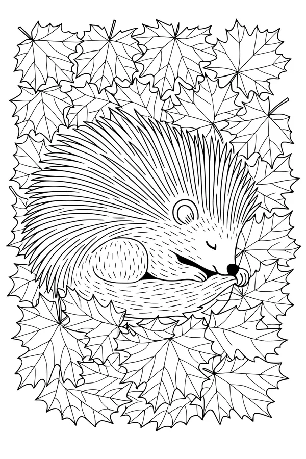 Free Porcupine Coloring Page - Sleepy Forest Nest in Maple Leaves (Printable PDF)