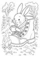 Free Rabbit Coloring Page - Camping Bunny in a Forest Boot (Printable PDF)
