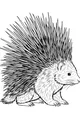 Free Porcupine Coloring Page - Detailed Spiky Forest Friend (Printable PDF)