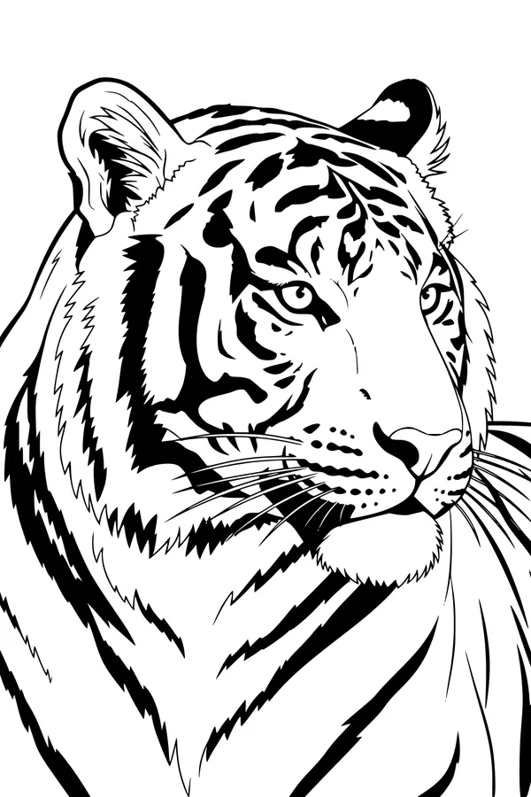 Free Tiger Coloring Page - Realistic Tiger Head With Bold Stripes (Printable PDF)