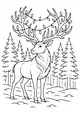 Free Reindeer Coloring Page - Christmas Lights in Snowy Pine Forest (Printable PDF)