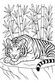 Free Tiger Coloring Page - Sleepy Tiger Resting by Bamboo (Printable PDF)