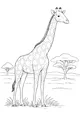 Free Giraffe Coloring Page - Tall Savanna Friend With Acacia Trees (Printable PDF)