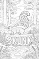 Free Skunk Coloring Page - Stripey Skunk by a Forest Stream (Printable PDF)