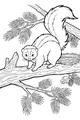 Free Skunk Coloring Page - Forest Tree Branch Adventure (Printable PDF)