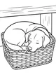 Free Dog Coloring Page - Sleepy Puppy in Cozy Woven Basket (Printable PDF)