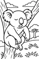 Free Koala Coloring Page - Sleepy Koala Napping in a Tree (Printable PDF)