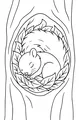 Free Squirrel Coloring Page - Sleeping in a Leafy Tree Hollow (Printable PDF)