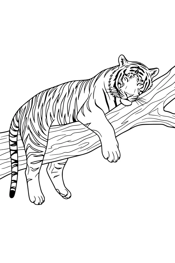 Free Tiger Coloring Page - Sleepy Tiger on Jungle Tree Branch (Printable PDF)