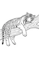 Free Tiger Coloring Page - Sleepy Tiger on Jungle Tree Branch (Printable PDF)