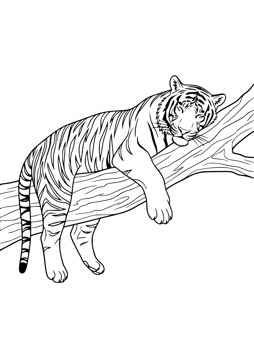 Tiger with detailed stripes lying flat on a large tree branch, resting its head and paws.