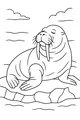 Free Walrus Coloring Page - Sleepy Walrus on Icy Shore (Printable PDF)