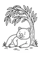 Free Wombat Coloring Page - Sleepy Wombat Under Gum Tree (Printable PDF)